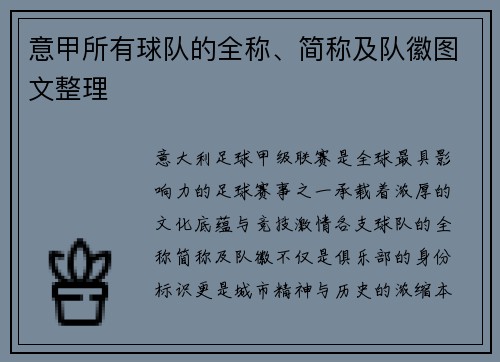 意甲所有球队的全称、简称及队徽图文整理