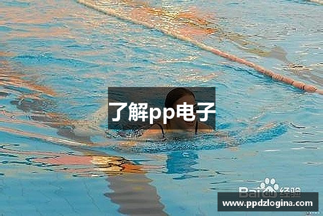 了解pp电子